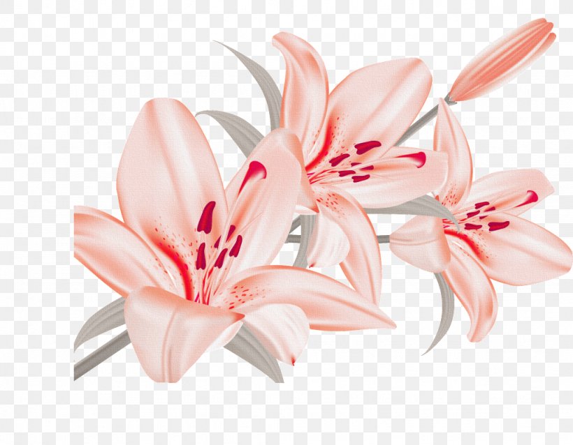 Clip Art Vector Graphics Flower Image, PNG, 1024x797px, Flower, Cut Flowers, Floral Design, Flower Bouquet, Flowering Plant Download Free
