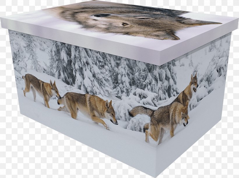 Coffin Pet Box Horse Dog, PNG, 929x693px, Coffin, Animal, Box, Cardboard, Cat Download Free