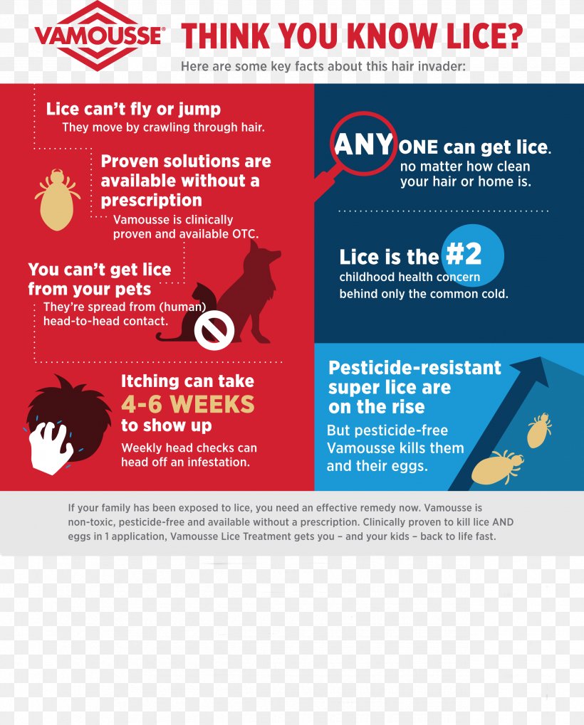 Head Louse Head Lice Infestation Online Advertising Web Page, PNG, 2550x3170px, Louse, Advertising, Brand, Brochure, Head Download Free