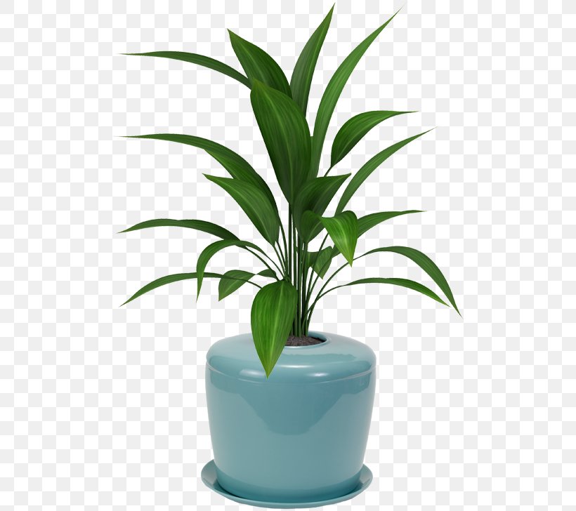 Houseplant Flowerpot Viper's Bowstring Hemp Plants Palm Trees, PNG, 500x728px, Watercolor, Cartoon, Flower, Frame, Heart Download Free