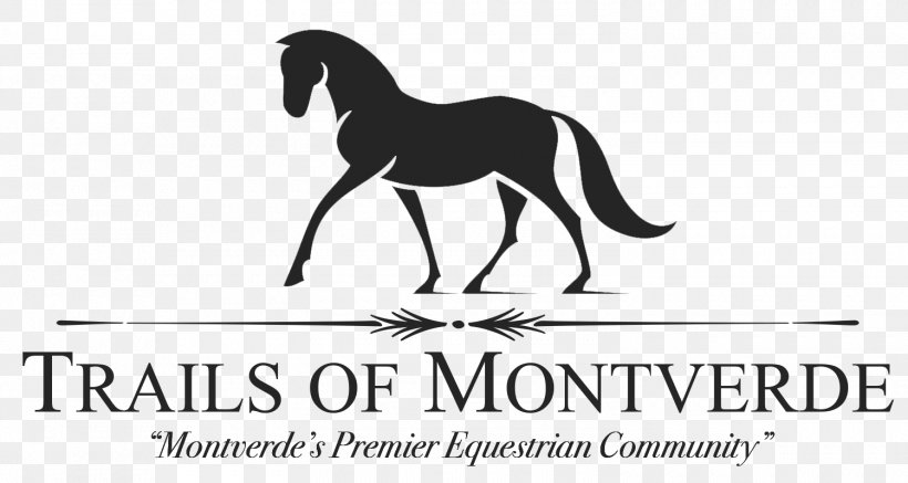 Mustang Black Horse Inn Pony Stallion Logo, PNG, 1500x800px, Mustang, Black And White, Brand, Equestrian, Horse Download Free