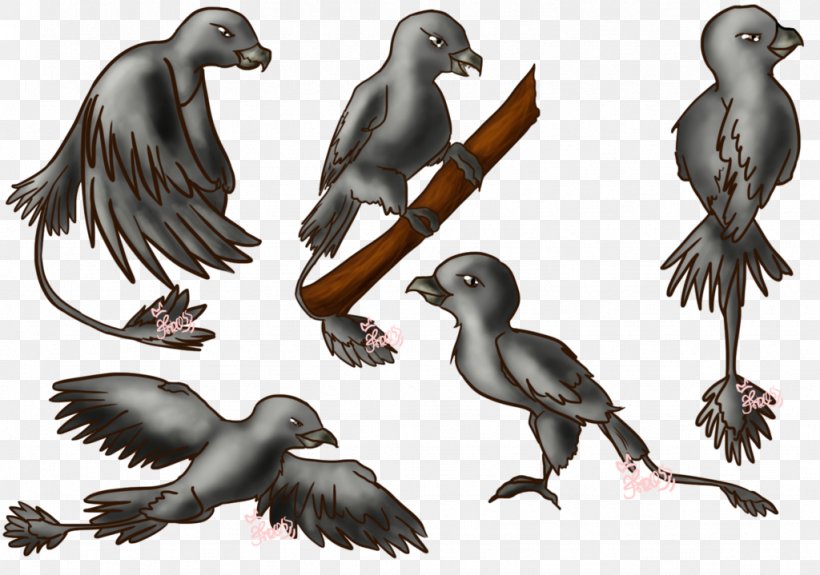Beak Bird Of Prey Puffin Fauna, PNG, 1024x719px, Beak, Bird, Bird Of Prey, Crow, Fauna Download Free