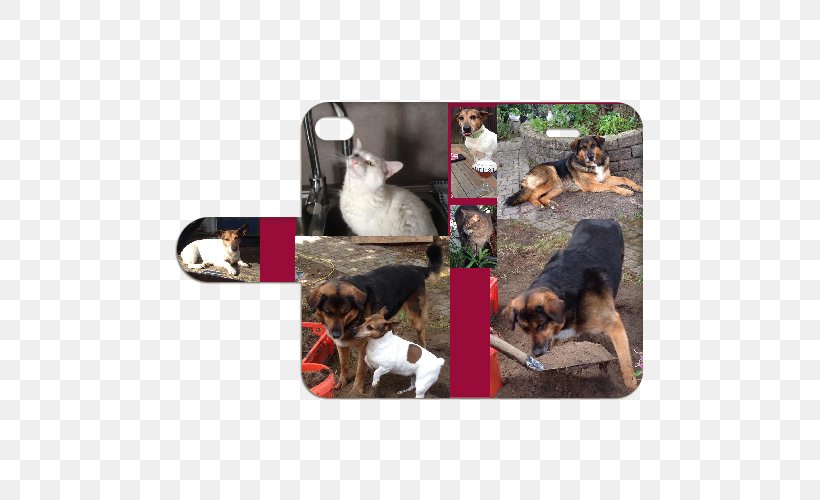 Dog Breed Puppy, PNG, 500x500px, Dog Breed, Breed, Carnivoran, Dog, Dog Like Mammal Download Free