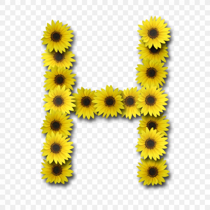 Letter Case Alphabet, PNG, 1200x1200px, Letter, Alphabet, Daisy Family, Digital Data, Flower Download Free