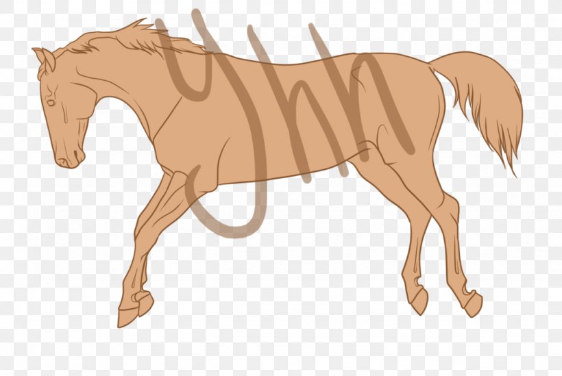 Mane Foal Pony Stallion Mustang, PNG, 1024x686px, Mane, Animal Figure, Bridle, Character, Colt Download Free