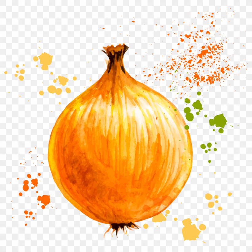 Onion Ring Vegetable Watercolor Painting, PNG, 1000x1000px, Onion Ring, Auglis, Calabaza, Capsicum Annuum, Cartoon Download Free