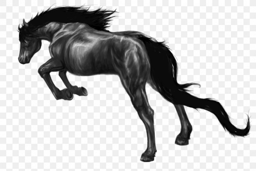 Mane Pony Foal Stallion Mustang, PNG, 900x601px, Mane, Animal Figure, Black And White, Colt, Digital Art Download Free