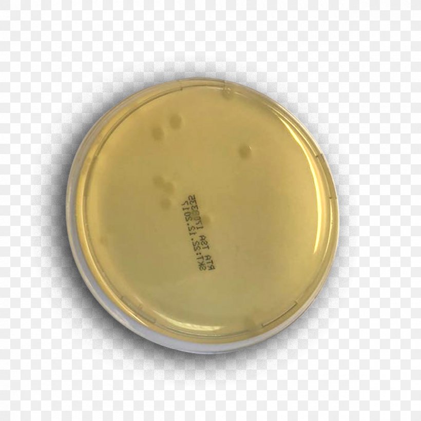 Microbiology Research Petri Dishes Growth Medium Industry, PNG, 1200x1200px, Microbiology, Dishware, Growth Medium, Human Body, Industry Download Free