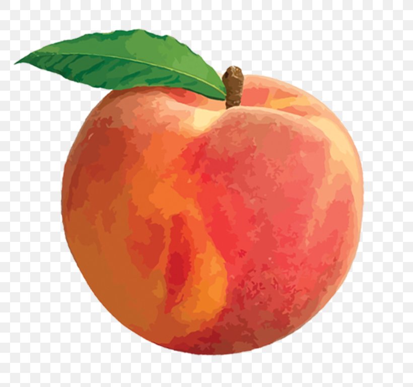 Peach Clip Art, PNG, 768x768px, Peach, Apple, Bbcode, Food, Fruit Download Free