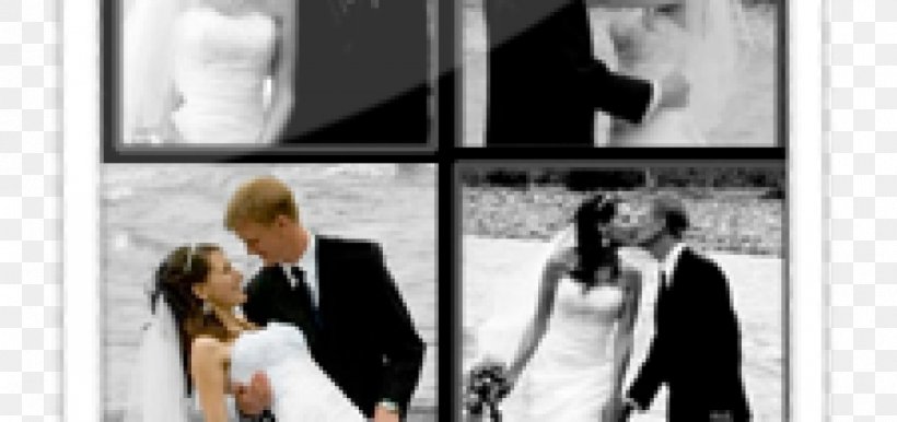 Wedding Dress Bridegroom Ivory, PNG, 1200x565px, Wedding, Black, Black And White, Bridal Clothing, Bride Download Free