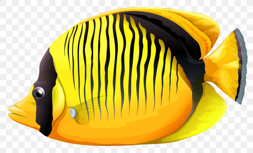 Fish Clip Art, PNG, 3000x1819px, Lined Butterflyfish, Butterflyfish, Cap, Chaetodon, Copperband Butterflyfish Download Free