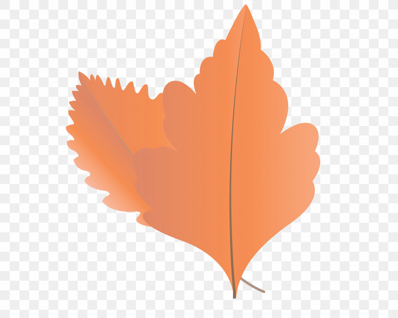 Maple Leaf, PNG, 3000x2407px, Autumn Leaf, Autumn Leaf Color, Biology, Cartoon Leaf, Fall Leaf Download Free