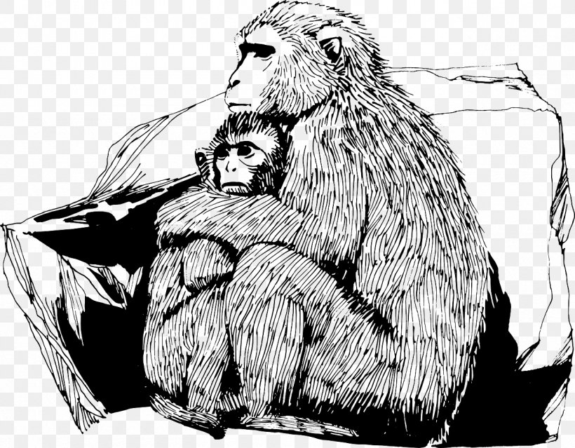 Primate Ape Rhesus Macaque Monkey Gorilla, PNG, 1280x998px, Primate, Animal, Ape, Bear, Beaver Download Free