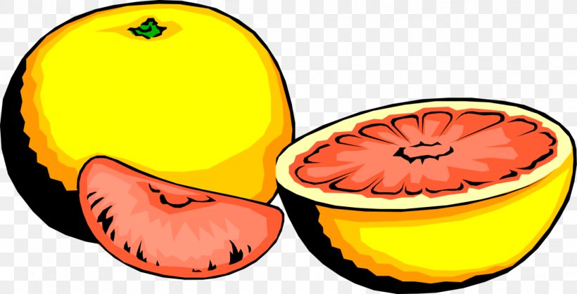 Clip Art Grapefruit Food GIF, PNG, 1369x700px, Grapefruit, Calabaza, Cucurbita, Dietary Fiber, Food Download Free