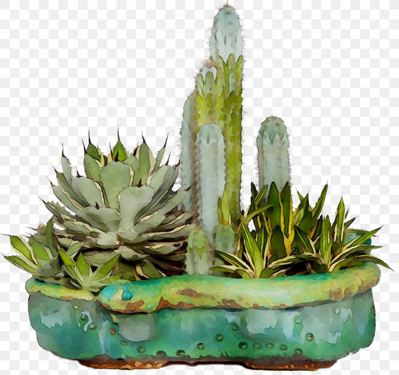 INAV DBX MSCI AC WORLD SF Aloe Vera Agave Aloes, PNG, 1180x1109px, Inav Dbx Msci Ac World Sf, Agave, Aloe, Aloe Vera, Aloes Download Free