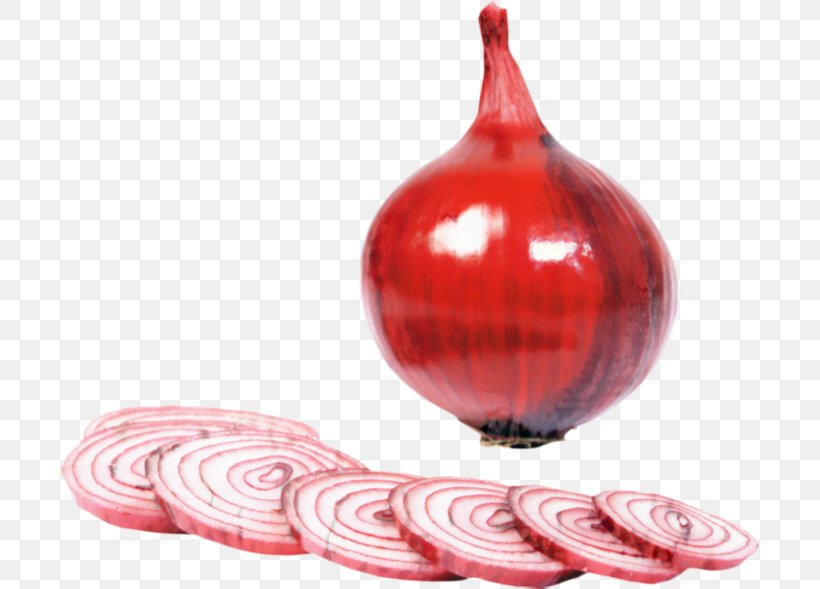Adobe Photoshop Red RGB Color Model Onion, PNG, 698x589px, Red, Allium, Amaryllis Family, Christmas Day, Christmas Ornament Download Free