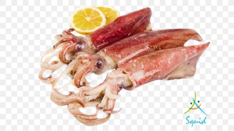 MaebanTV Squid As Food, PNG, 717x461px, Squid As Food, Animal Fat, Animal Source Foods, Bangkok, Caridea Download Free