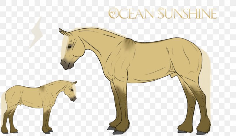 Mule Foal Stallion Mustang Pony, PNG, 900x521px, Mule, Animal, Colt, Donkey, Fauna Download Free
