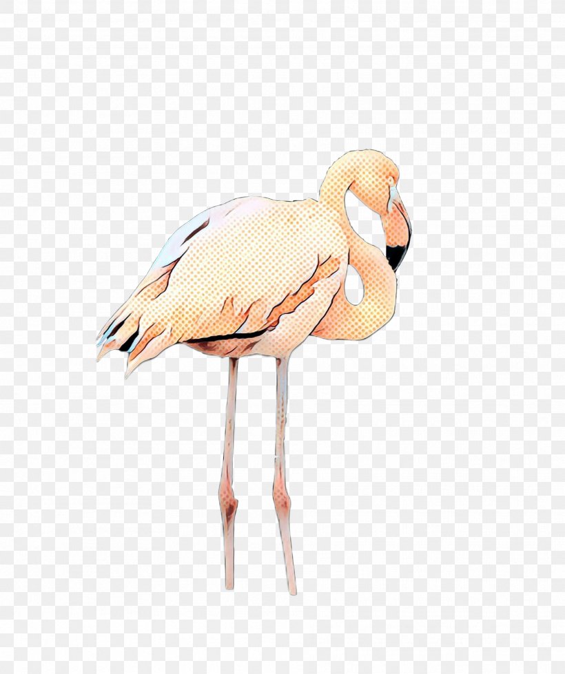 Beak Stork Neck Feather, PNG, 1873x2238px, Beak, Bird, Feather, Flamingo, Greater Flamingo Download Free