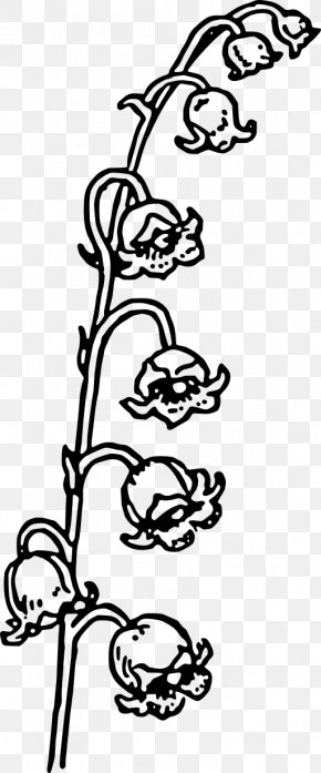 Lily Of The Valley - Lily Of The Valley Lilium Drawing Flower Clip Art PNG