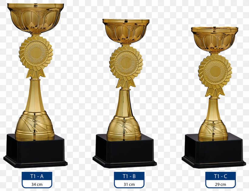 Trophy Gold Medal Award Silver Medal, PNG, 1000x768px, Trophy, Award, Badge, Bowl, Football Download Free