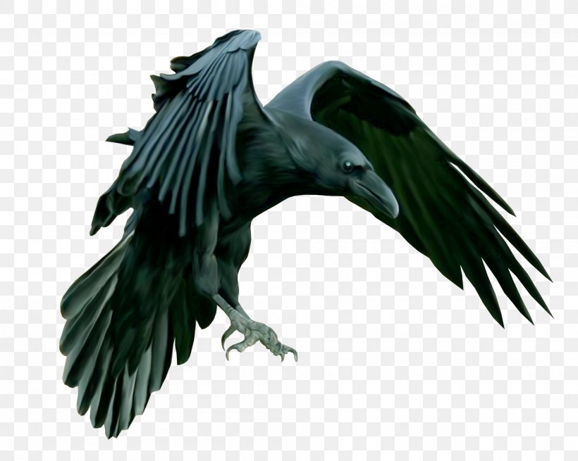 American Crow Common Raven Epic Black Metal Carrion Crow, PNG, 2000x1599px, American Crow, Beak, Bird, Bird Of Prey, Black Metal Download Free