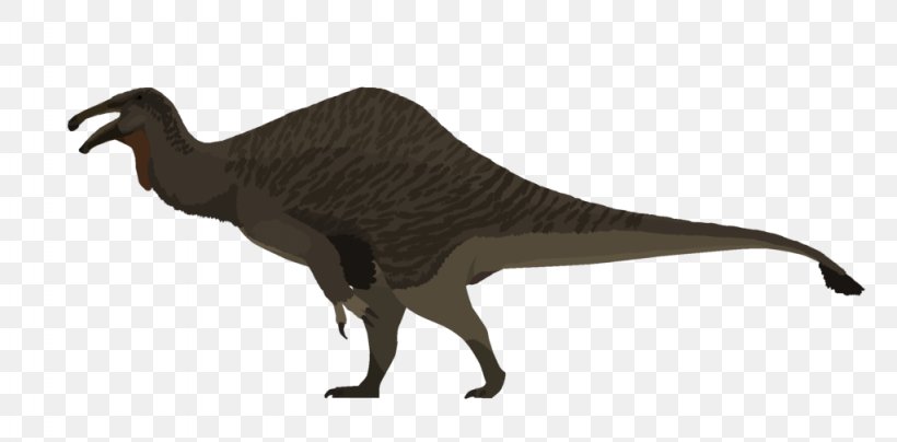 Beak Velociraptor Flightless Bird Tyrannosaurus, PNG, 1024x505px, Beak, Bird, Dinosaur, Extinction, Fauna Download Free
