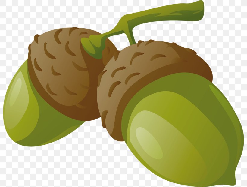 Clip Art Drawing Image Fruit, PNG, 800x623px, Drawing, Acorn, Food, Fruit, Kiwifruit Download Free
