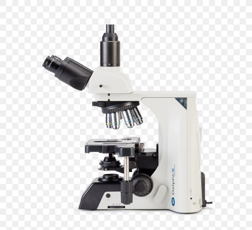 Euromex DX.1153-PLi, Trino Microscope, 40x-1000x Optics Euromex Microscope DX.1153-APLi, Trino, 40x, PNG, 563x750px, Microscope, Camera Lens, Numerical Aperture, Objective, Optical Instrument Download Free