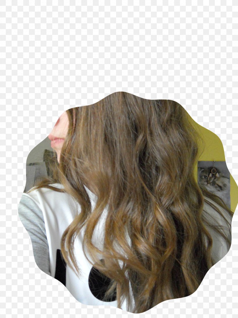 Long Hair Brown Hair Wood, PNG, 1200x1600px, Long Hair, Brown, Brown Hair, Hair, Hair Coloring Download Free