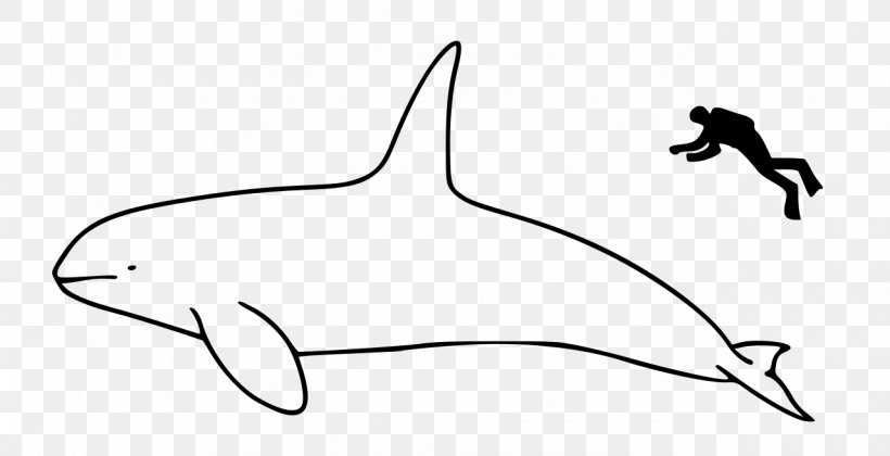 Marine Mammal Bowhead Whale Cetacea Killer Whale, PNG, 1280x656px, Marine Mammal, Animal, Arctic, Area, Beak Download Free
