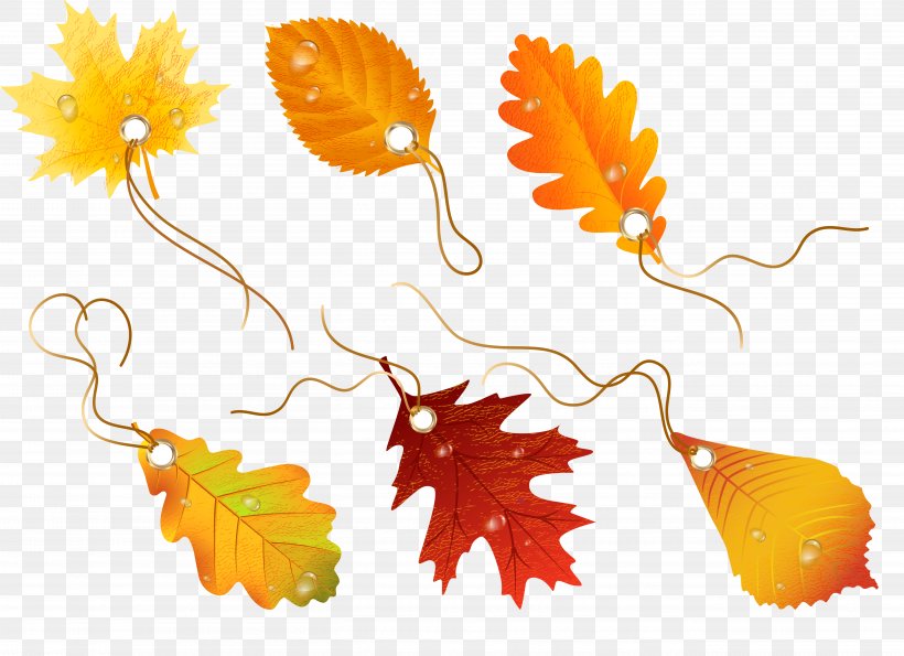 Autumn Leaves Drawing Clip Art, PNG, 5434x3946px, Autumn Leaves, Advertising, Autumn, Autumn Leaf Color, Drawing Download Free