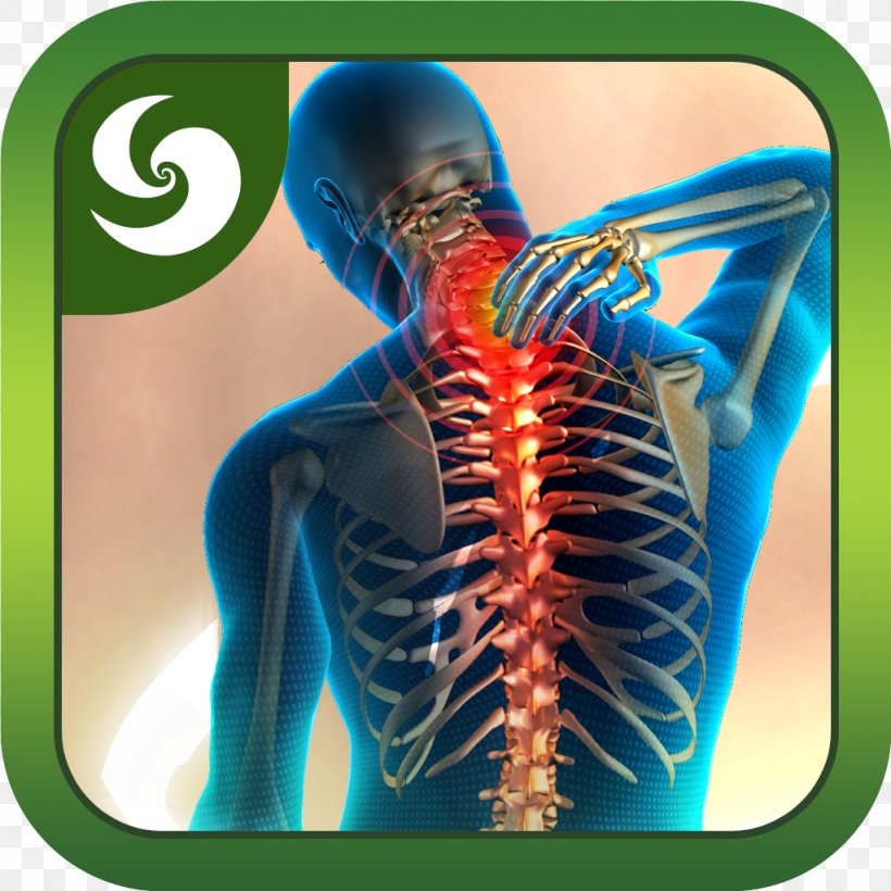 Low Back Pain Neck Pain Pain Management Human Back, PNG, 1024x1024px, Watercolor, Cartoon, Flower, Frame, Heart Download Free