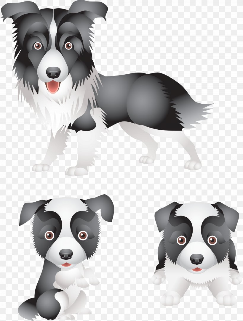 Border Collie Puppy Rough Collie Standard Schnauzer Maltese Dog, PNG, 3968x5247px, Border Collie, Animal, Carnivoran, Collie, Dog Download Free