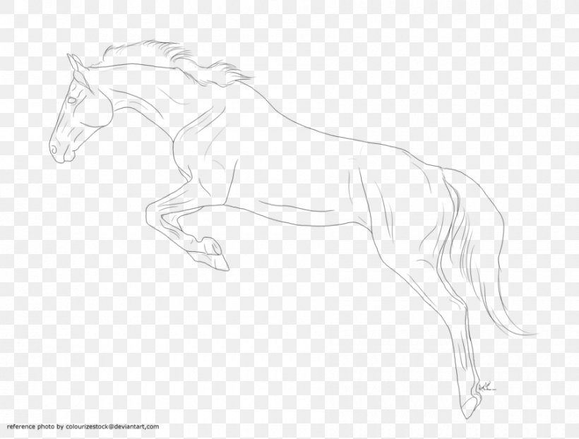 Mane Halter Pony Mustang Stallion, PNG, 900x683px, Mane, Arm, Artwork, Black And White, Bridle Download Free