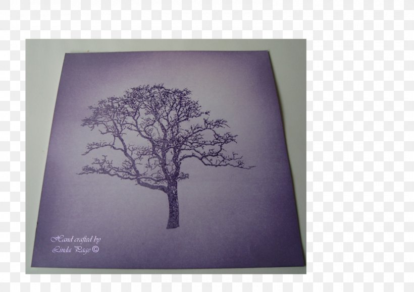 Picture Frames Branching Image, PNG, 1600x1131px, Picture Frames, Branch, Branching, Lavender, Lilac Download Free