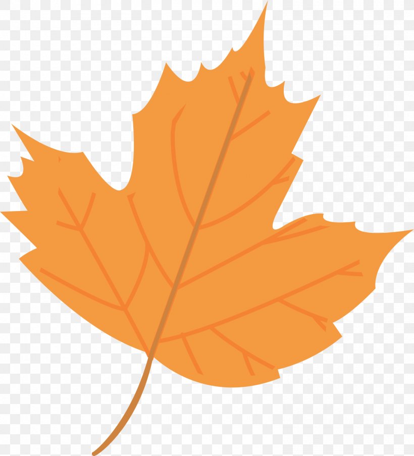 Family Tree Background, PNG, 1500x1653px, Leaf, Autumn, Avatar, Beech, Black Maple Download Free