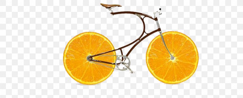 Orange Slice Fruit, PNG, 1024x413px, Orange, Bicycle, Brand, Data Compression, Deflate Download Free