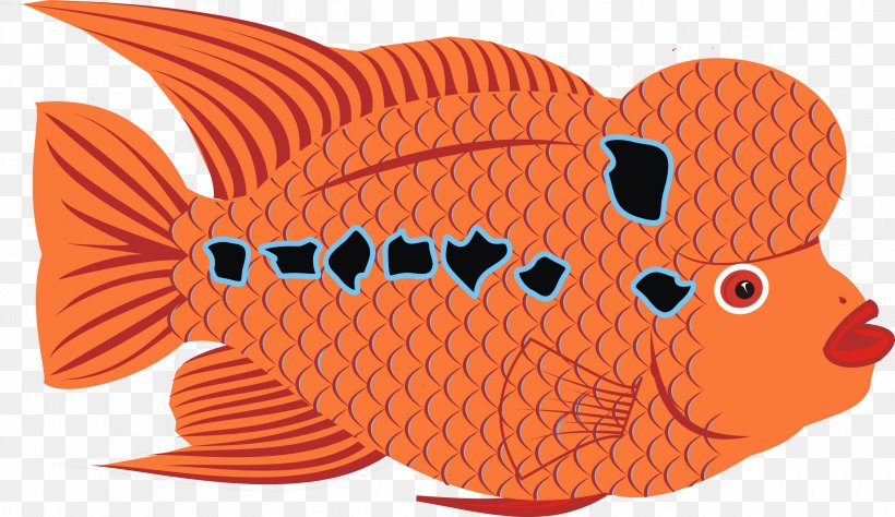 Goldfish Clip Art, PNG, 2400x1388px, Goldfish, Cartoon, Fish, Gauge, Google Classroom Download Free