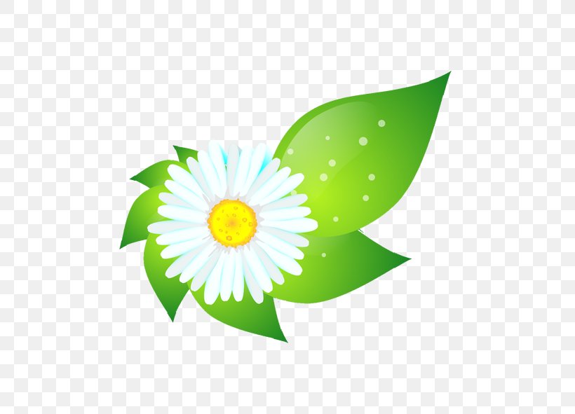 Green Flower Computer File, PNG, 591x591px, Green, Color, Computer, Daisy, Daisy Family Download Free