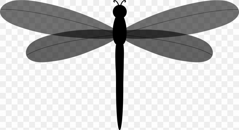 Insect Line Symmetry Graphics Product Design, PNG, 8099x4430px, Insect, Black, Blackandwhite, Ceiling Fan, Damselfly Download Free