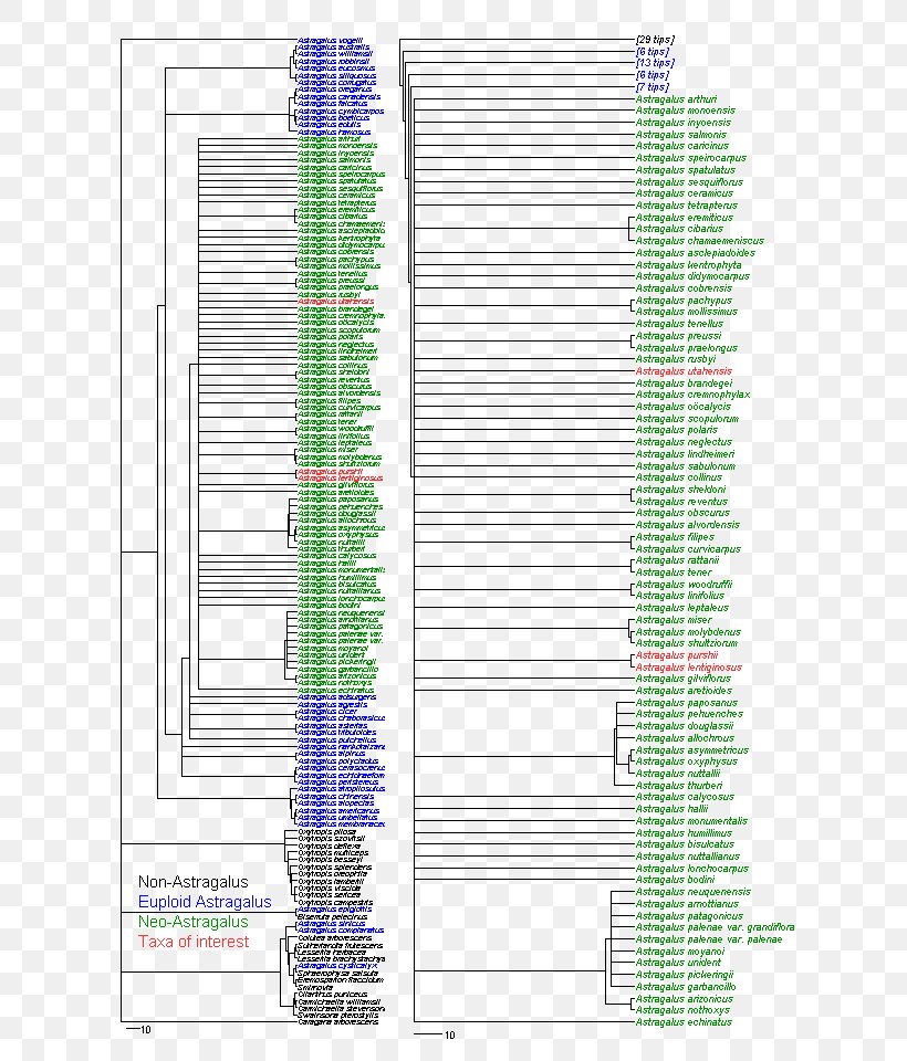 Line Angle Diagram Minute Font, PNG, 620x960px, Diagram, Area, Minute Download Free