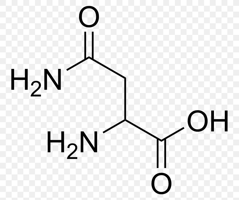 Amino Acid Leucine Dietary Supplement Chemistry, PNG, 797x688px, Amino Acid, Acetic Acid, Acid, Amine, Area Download Free
