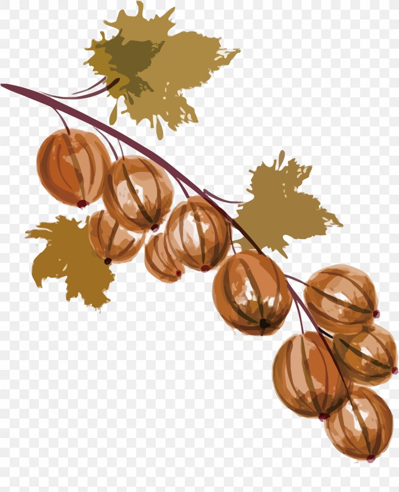 Auglis Watercolor Painting Grape, PNG, 1500x1851px, Auglis, Cartoon, Comics, Creative Work, Designer Download Free