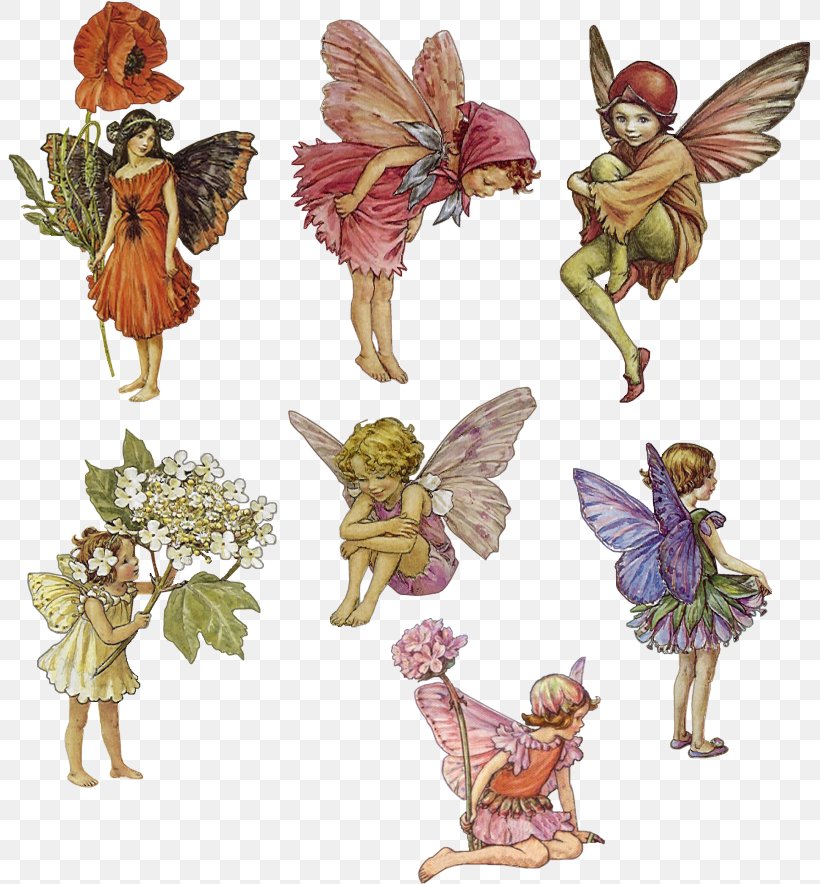 Fairy Elf Dryad Nymph Flower Fairies, PNG, 803x884px, Fairy, Costume Design, Dryad, Elf, Fairies Download Free