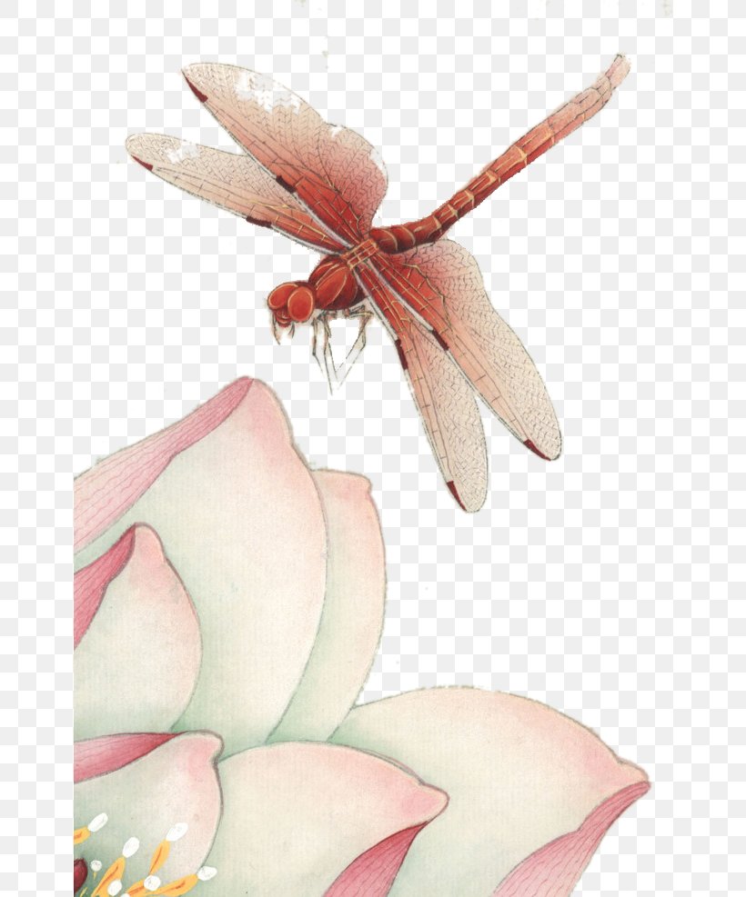 Nelumbo Nucifera Dragonfly Paper, PNG, 658x987px, Nelumbo Nucifera, Animal, Dragonfly, Flower, Paper Download Free