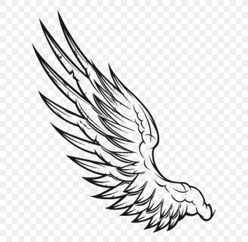Wing Black And White Clip Art, PNG, 800x800px, Wing, Artwork, Beak, Bird, Black And White Download Free