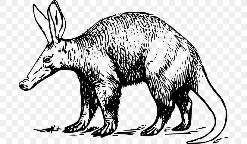 Aardvark Animal Figure, PNG, 696x480px, Aardvark, Animal Figure, Anteater, Drawing, Line Art Download Free
