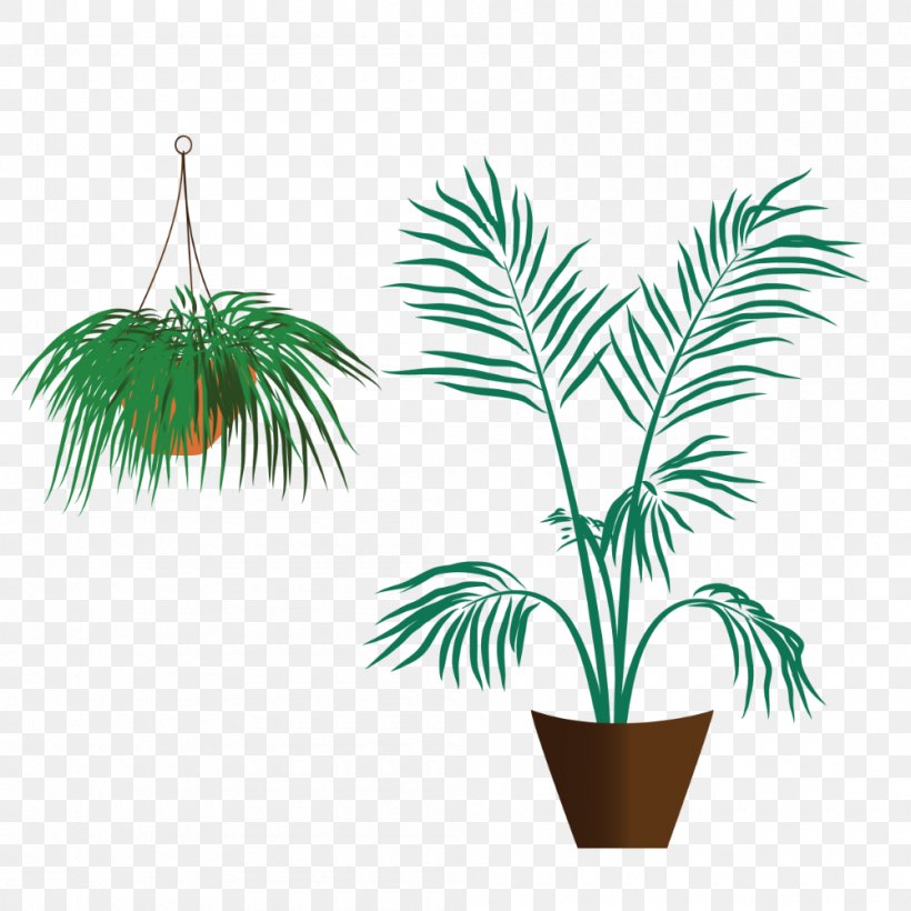 Arecaceae Flowerpot Grasses Houseplant Plant Stem, PNG, 1000x1000px, Arecaceae, Arecales, Family, Flowering Plant, Flowerpot Download Free