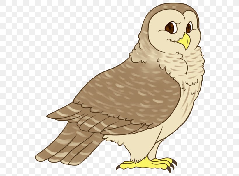 Bald Eagle Owl Hawk Beak Clip Art, PNG, 600x606px, Bald Eagle, Beak, Bird, Bird Of Prey, Eagle Download Free